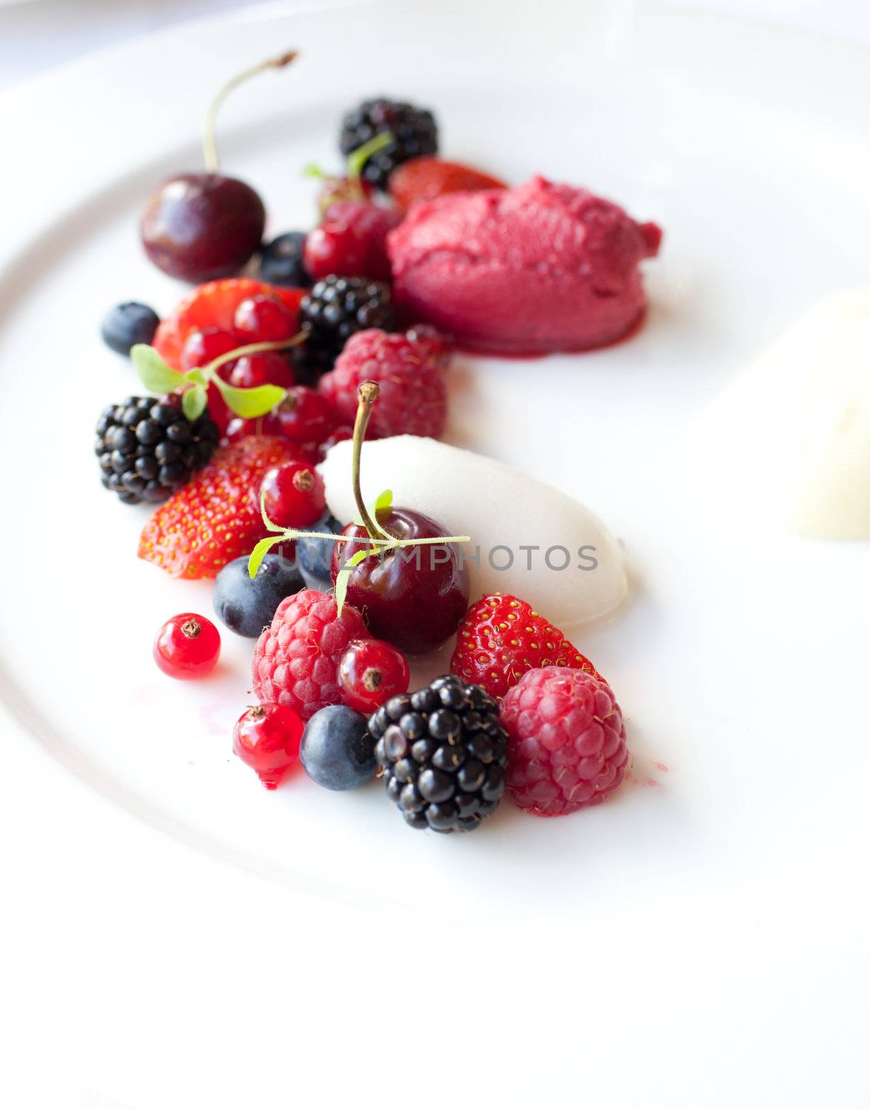 Delicious and fresh dessert with sorbet icecream and fresh berries
