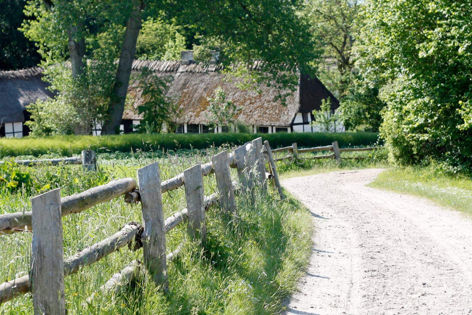 A rural scene