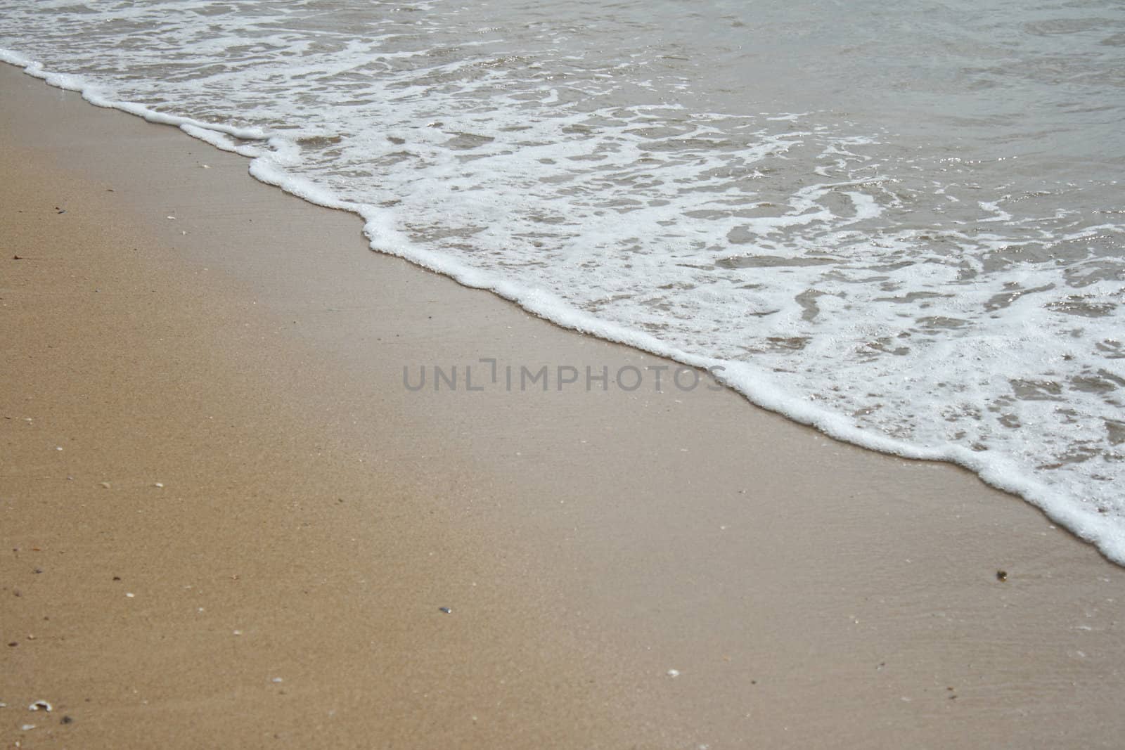 Ocean wave and tropical beach