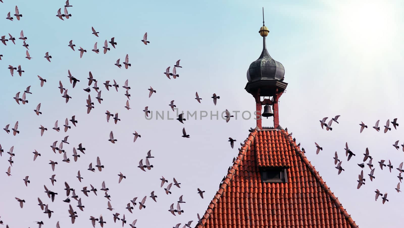 old tower with bell and many flying birds