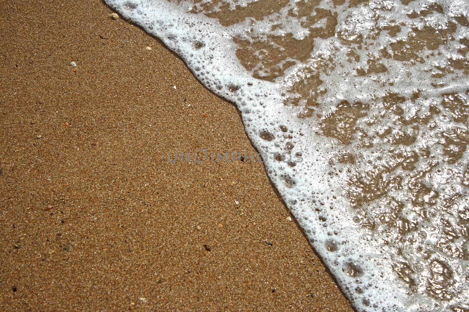 Ocean wave and tropical beach