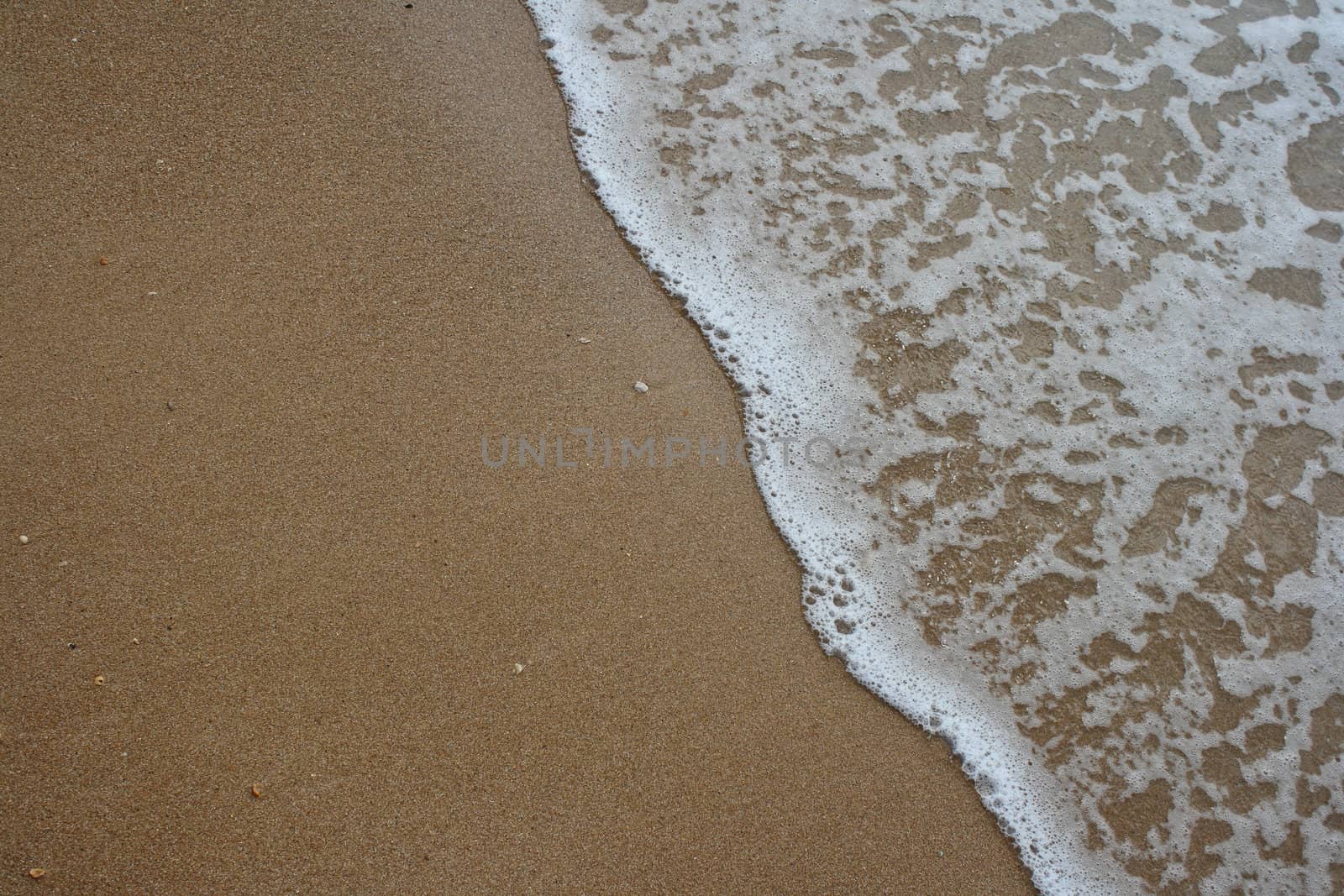 Ocean wave and tropical beach