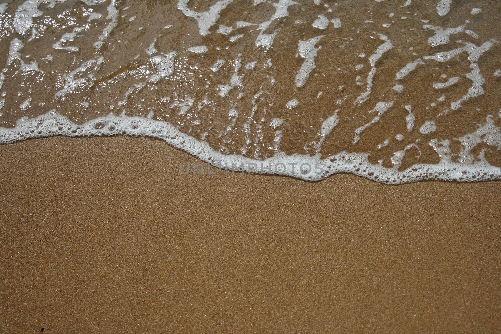 Ocean wave and tropical beach