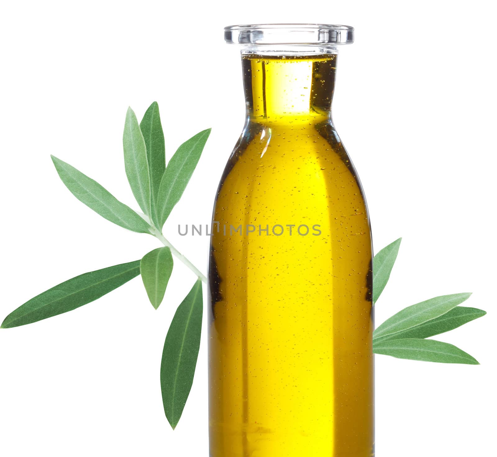 Olive oil in a bottle isolated on white