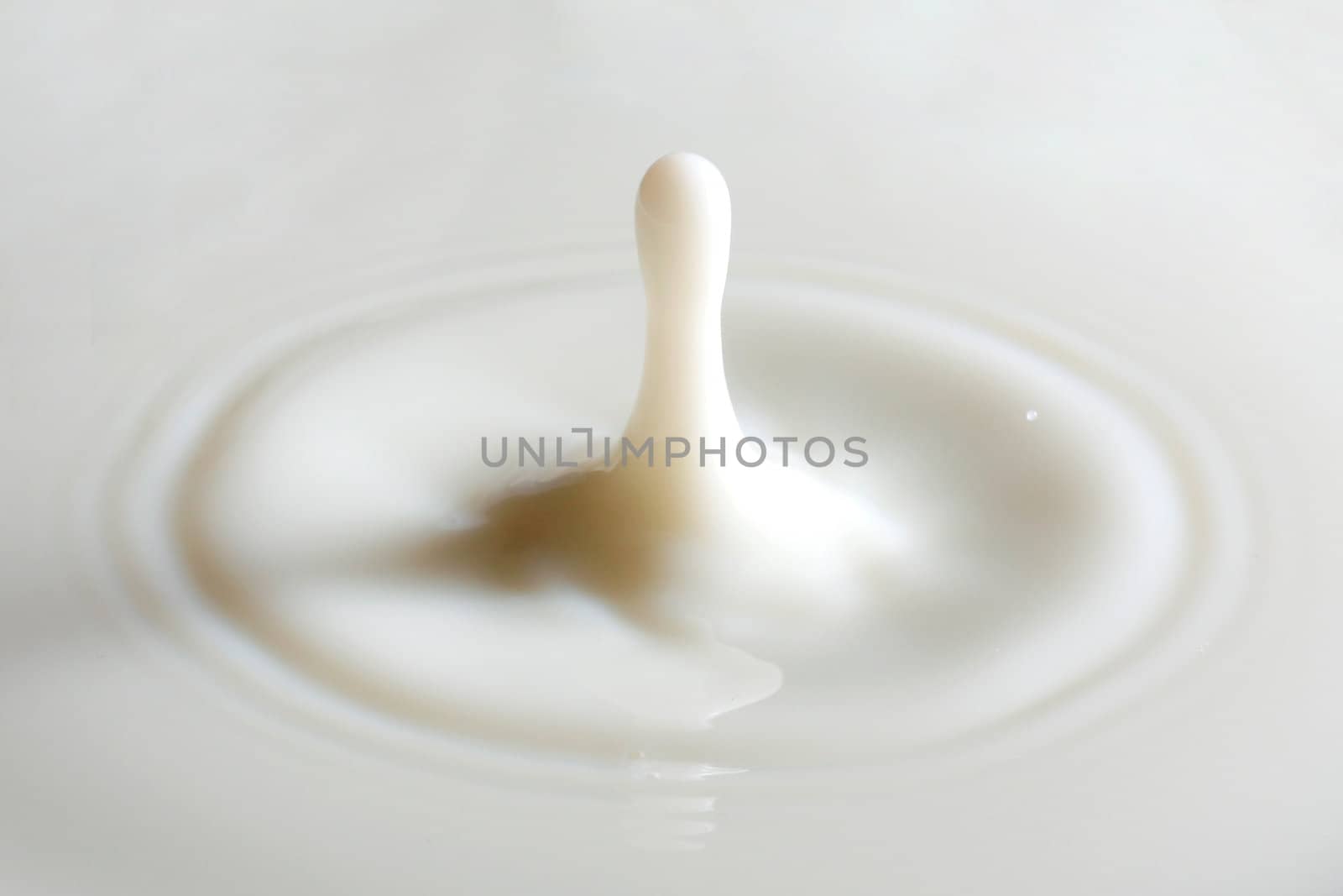 Milk by leeser