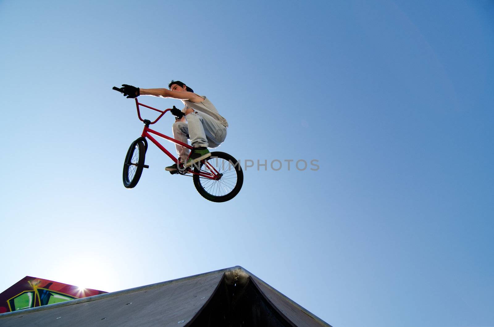BMX Bike Stunt Table Top by homydesign
