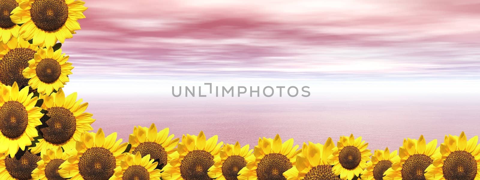 Pink ocean and sunflowers by Elenaphotos21