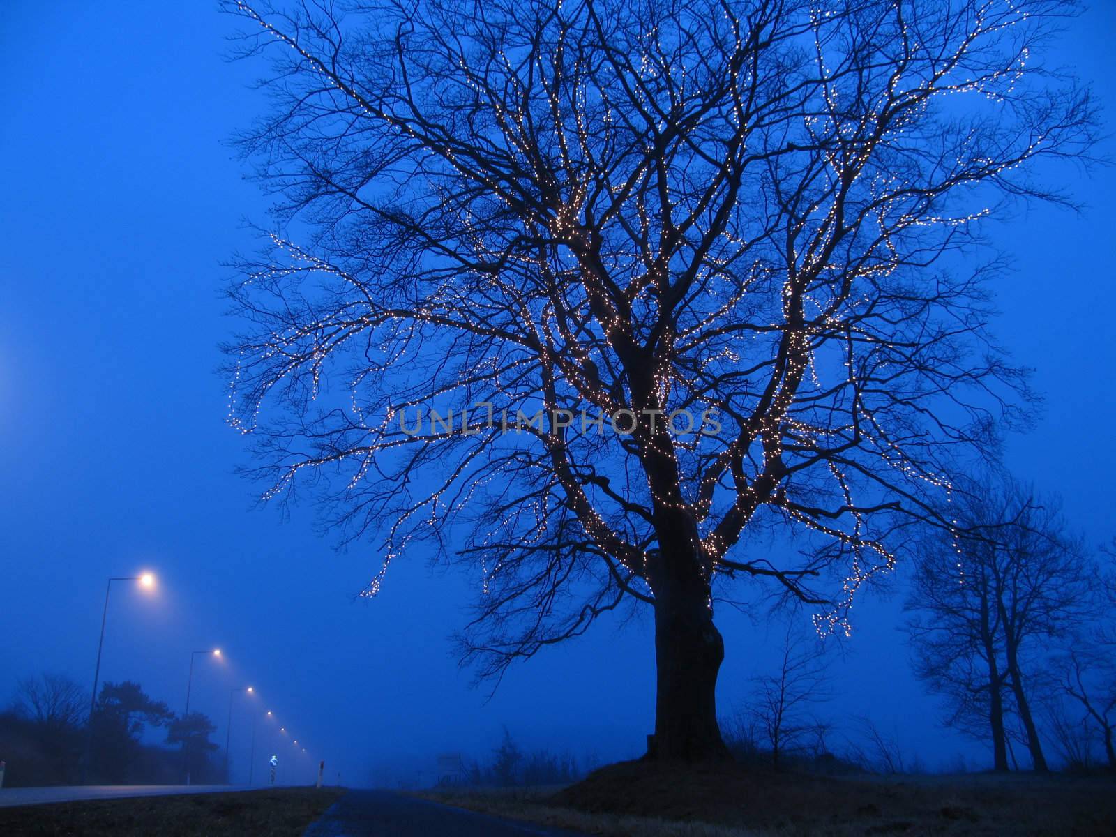 Illuminated tree a foggy blue hour in December.