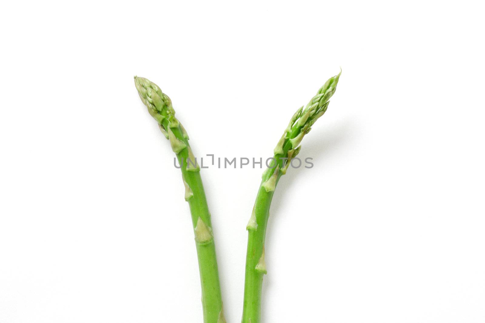 Asparagus by leeser