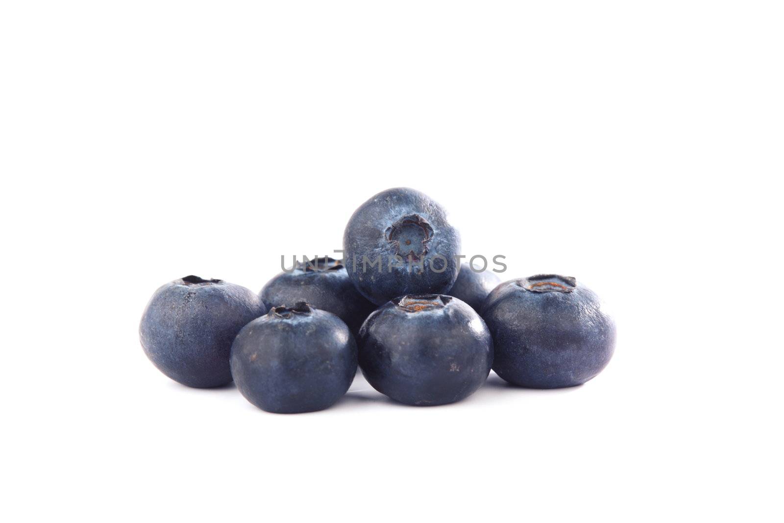 blueberry isolated on white background