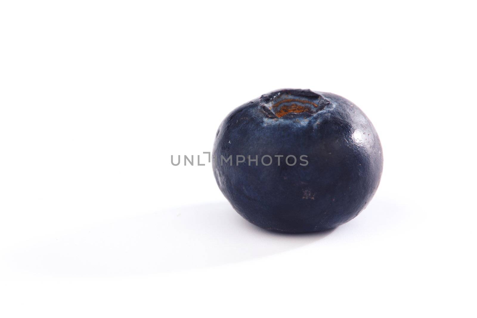 blueberry isolated on white background