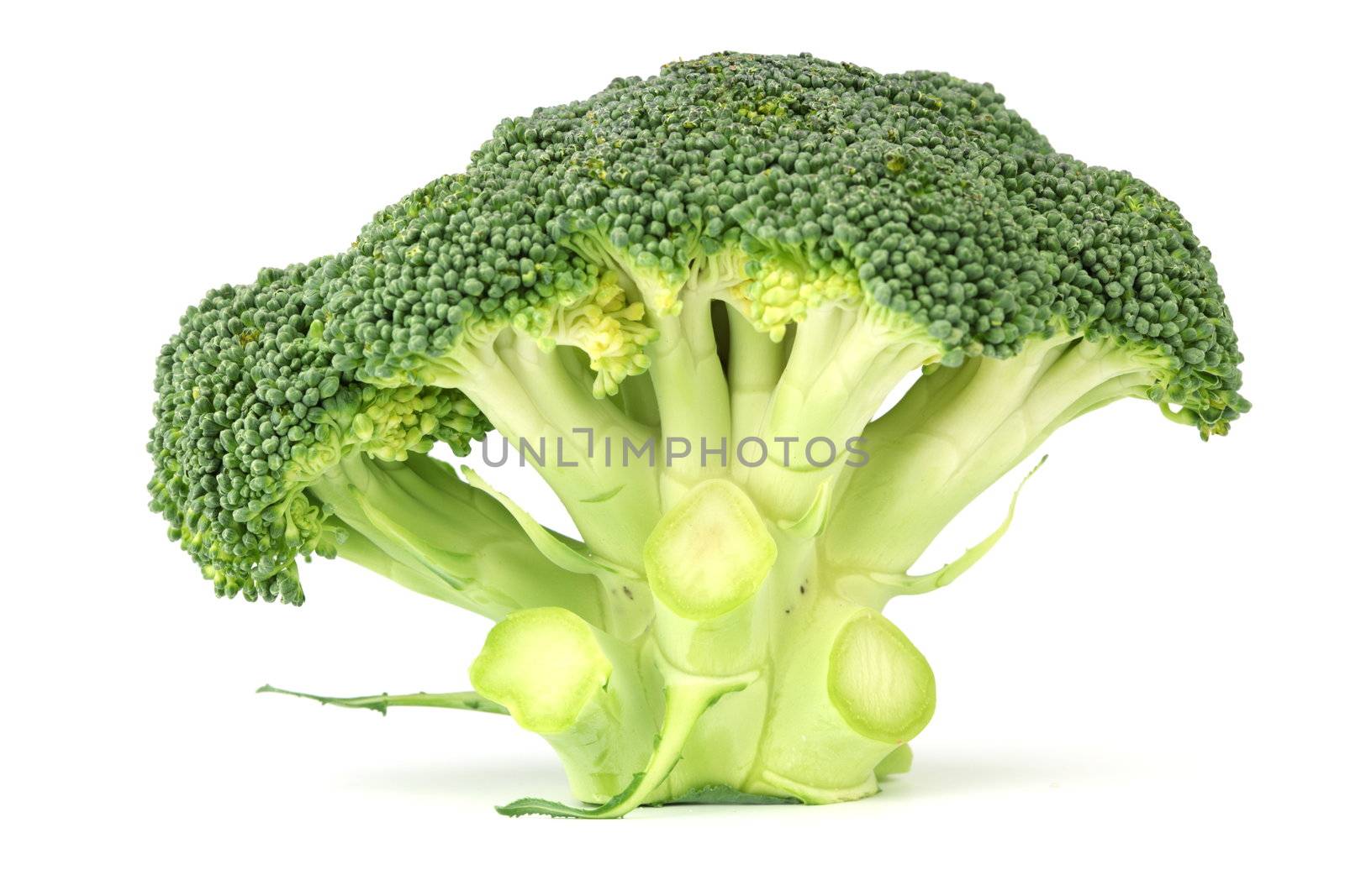 broccoli isolated on white background