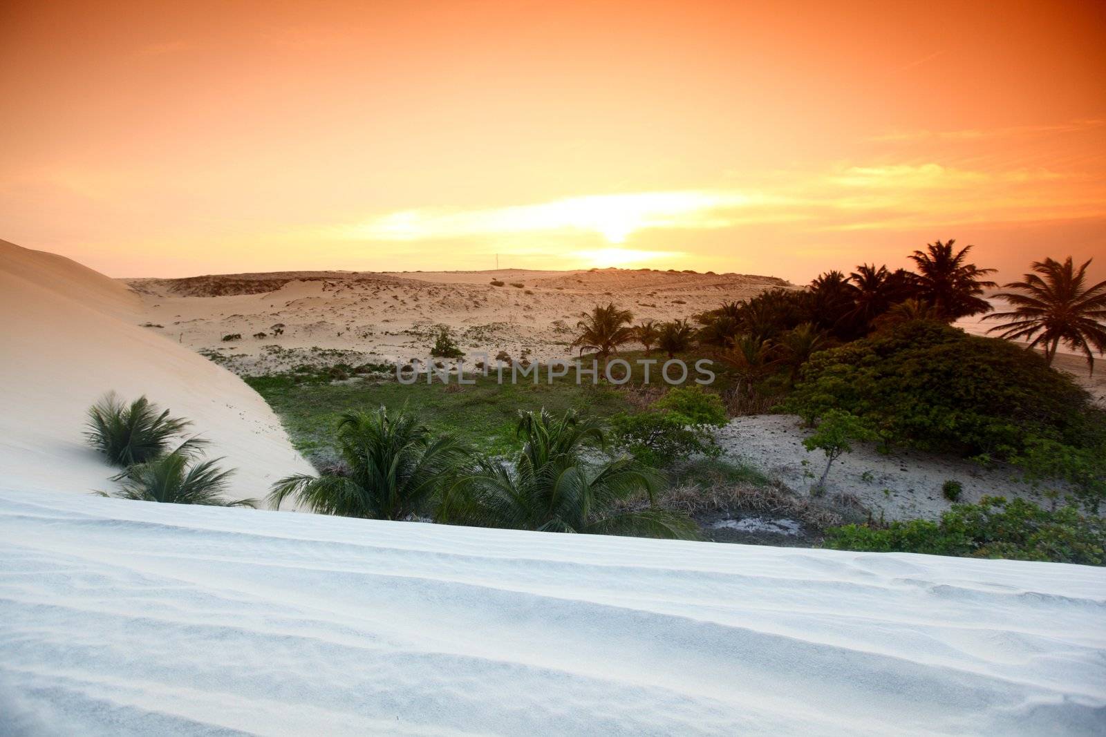 desert sand under blue sunny sky