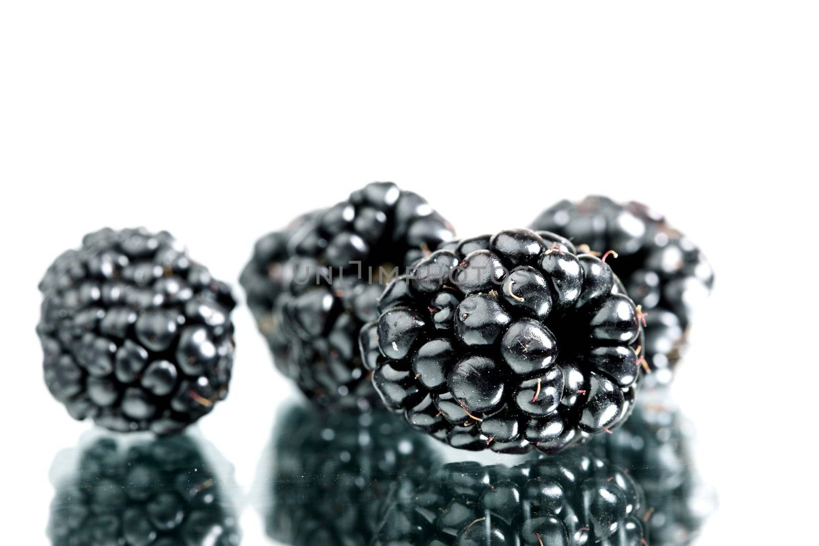 blackberry  isolated on white background