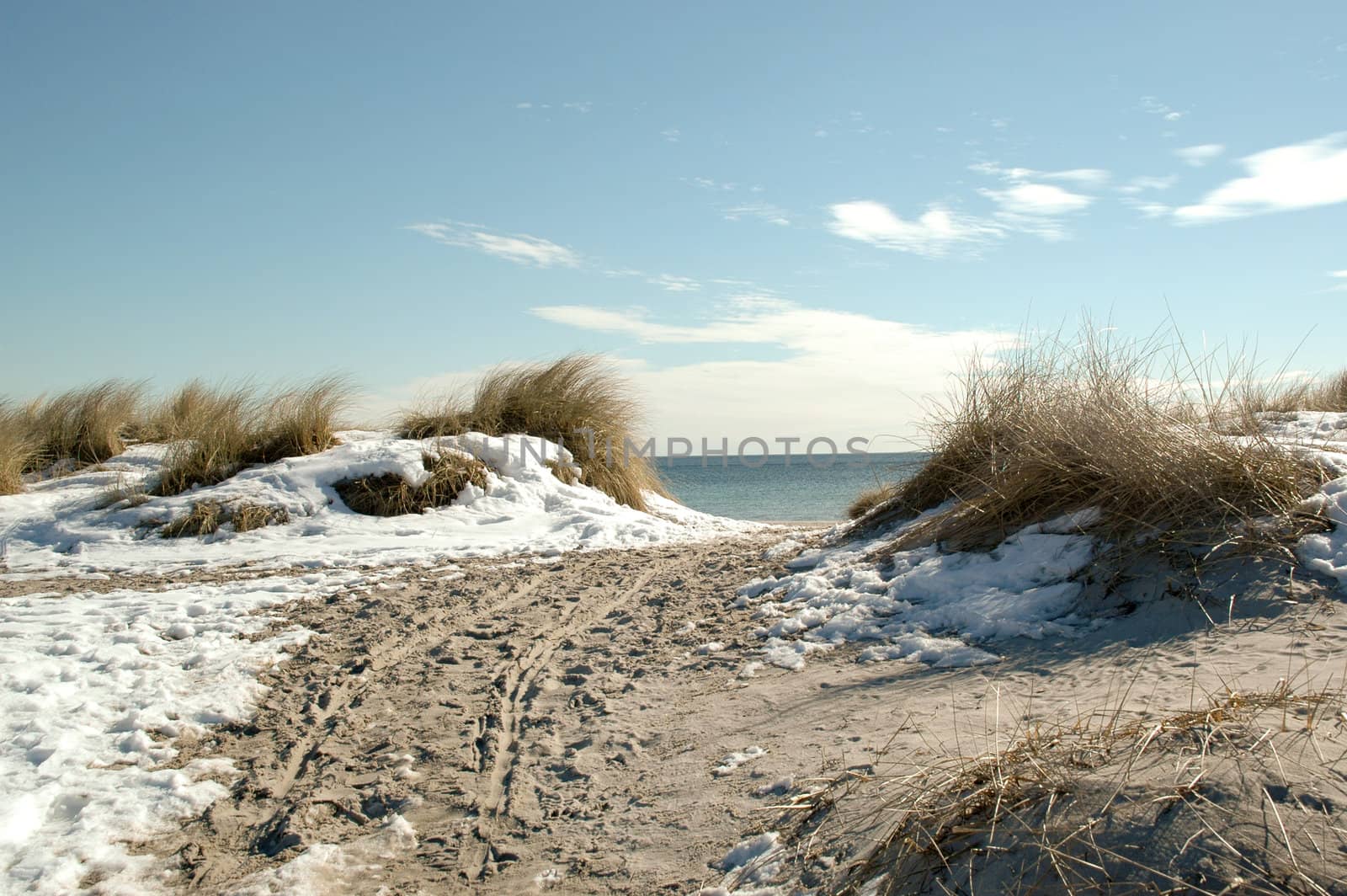 Winter picture from the beach
