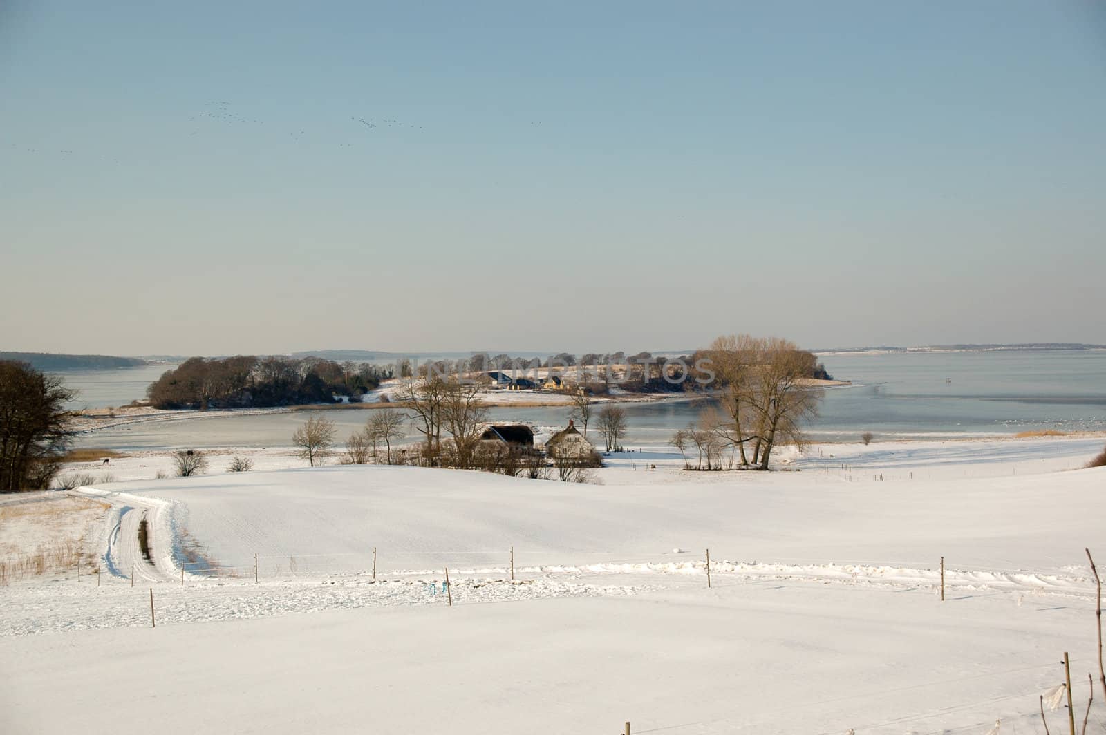 Idylic winter landscape with, fram, fields and frozen sea.