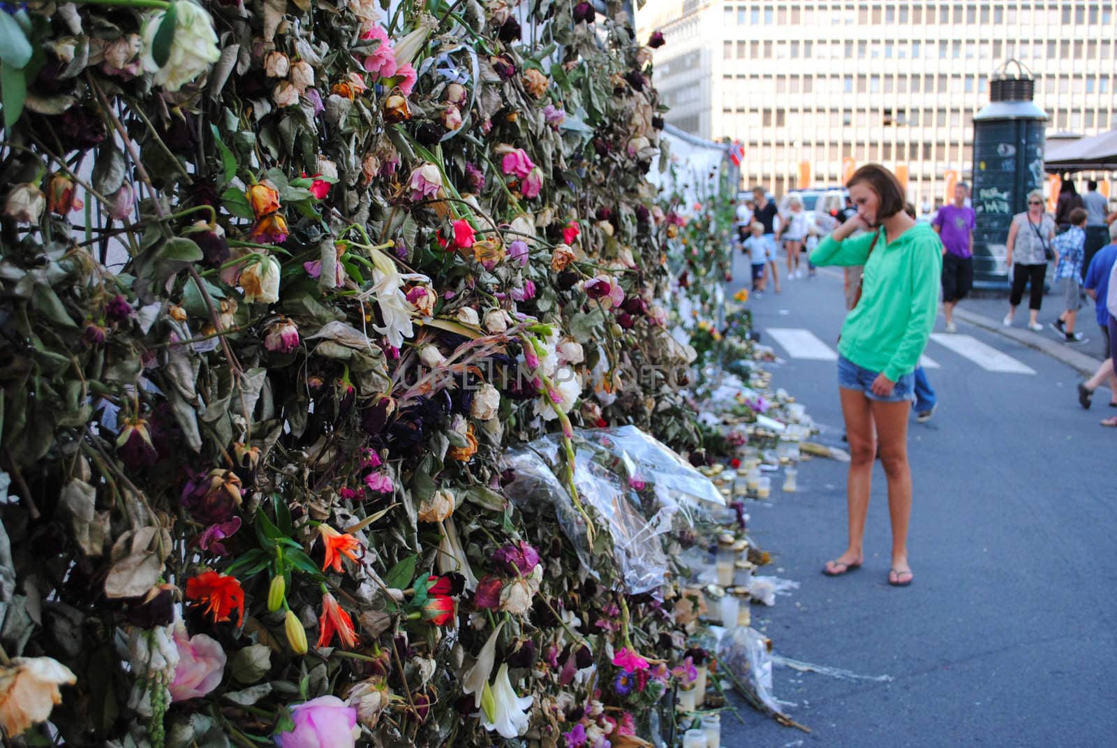 A wall of roses in central Oslo commemorating the victims after the terrorist attacks 22.07.2011.