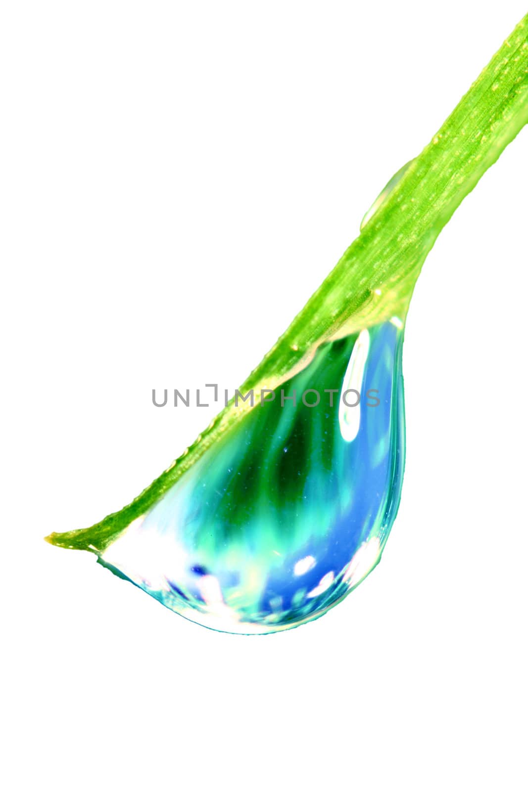 big water drop on grass blade isolated