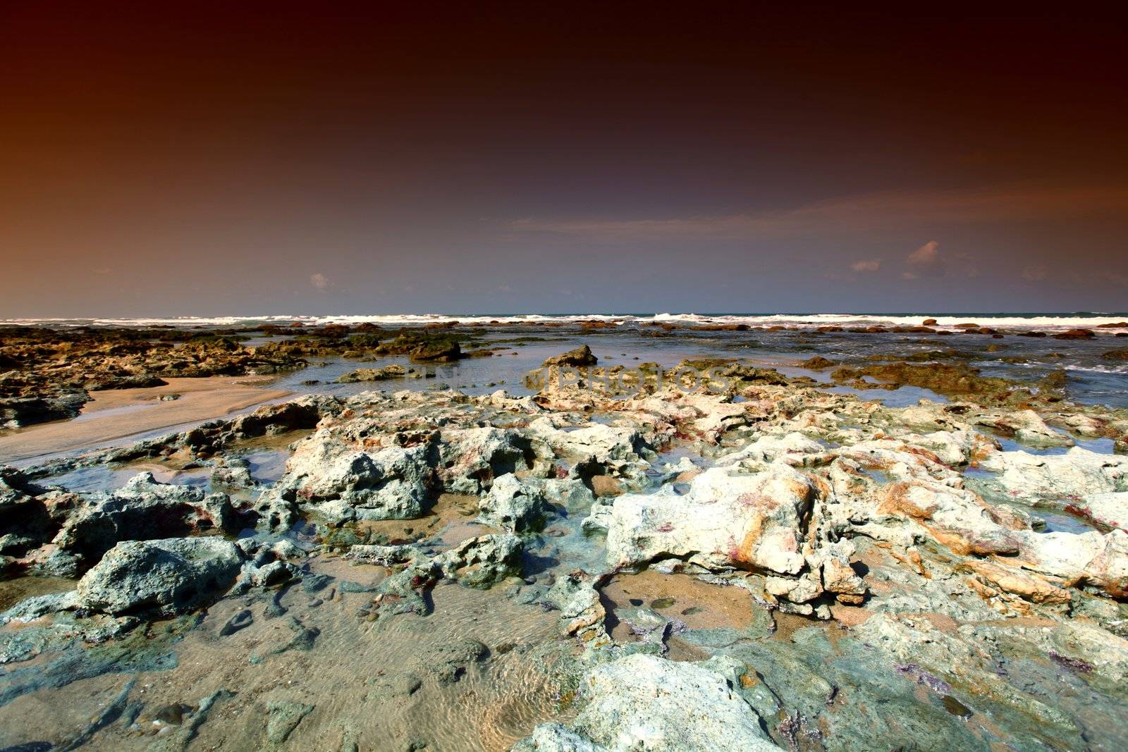 Reef stones an ocean water