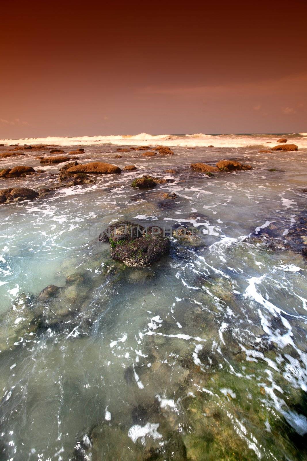 Reef stones an ocean water