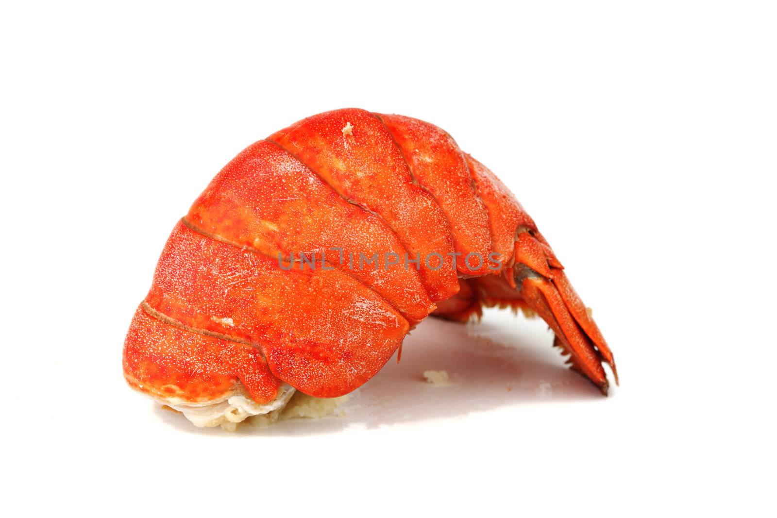 lobster tail isolated on white