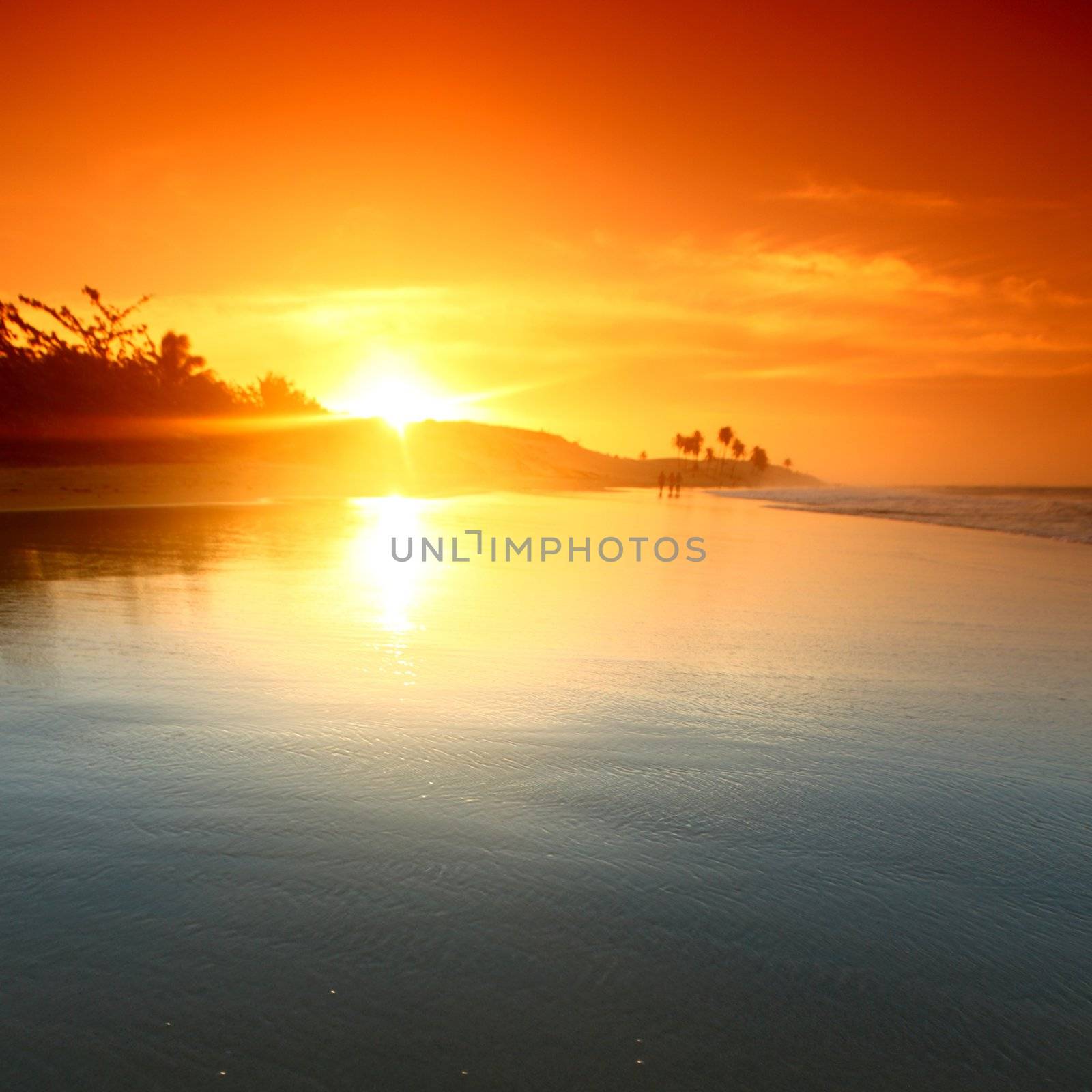 landscape ocean sunrice golden sky