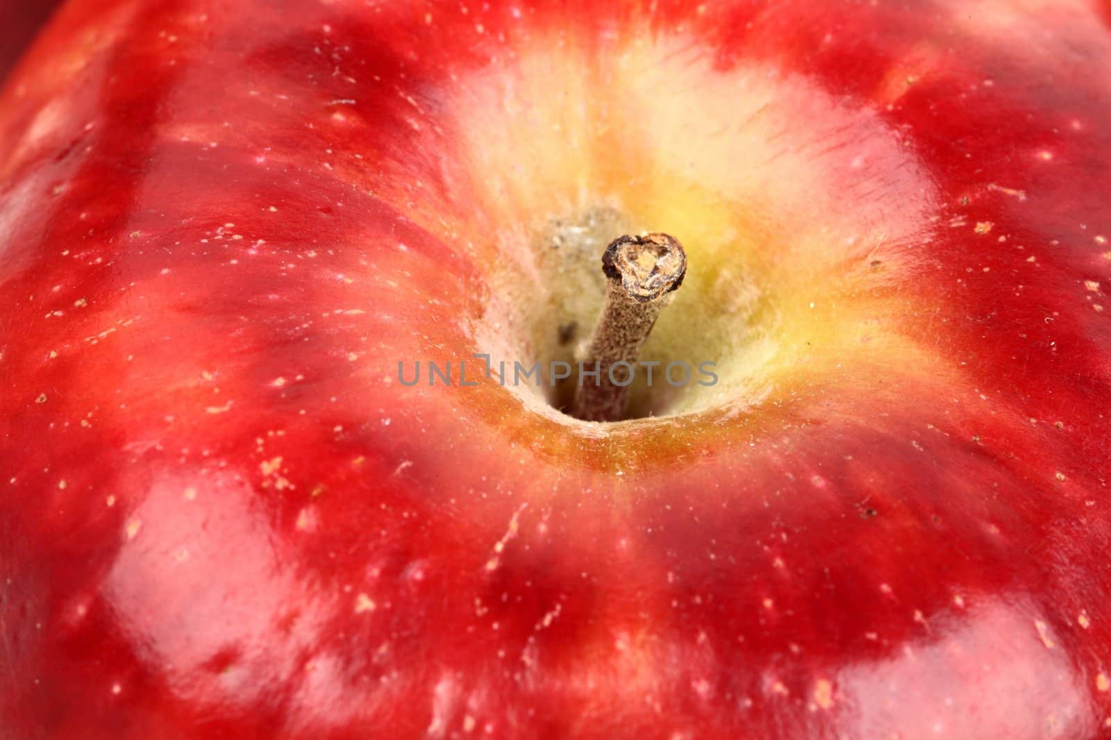 red apple background macro close up