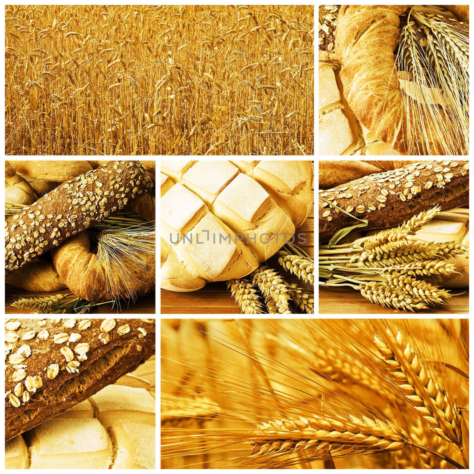 Collage made of pictures about bread and cereals.