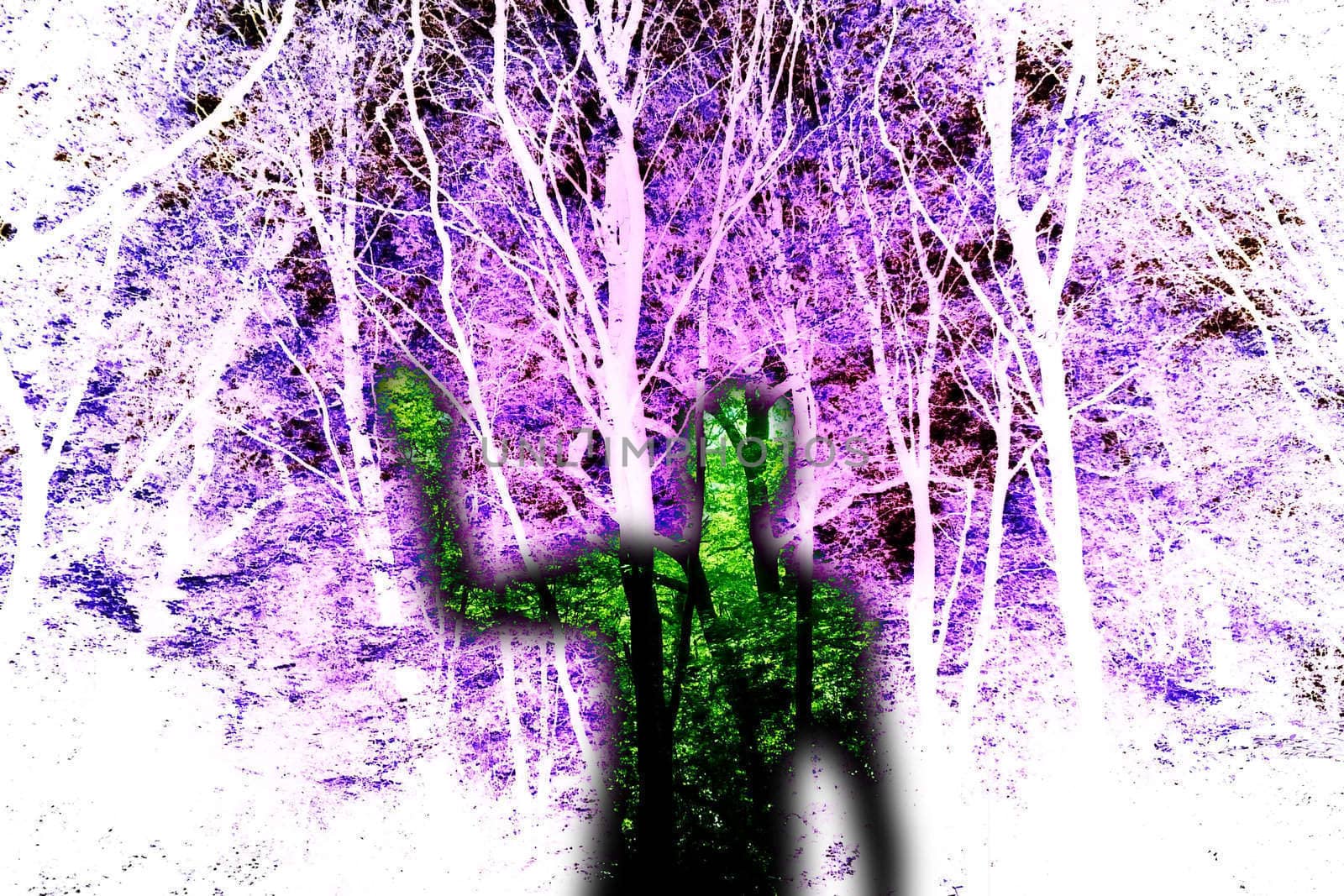 A representation of a ghost in some dark woods.