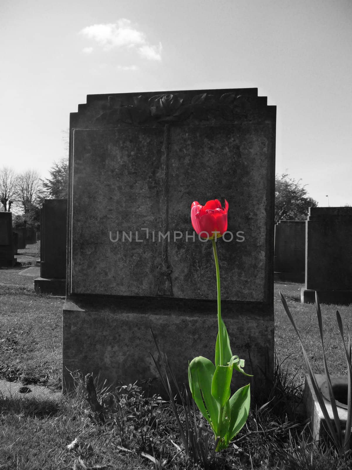Concept image showing both life and death.