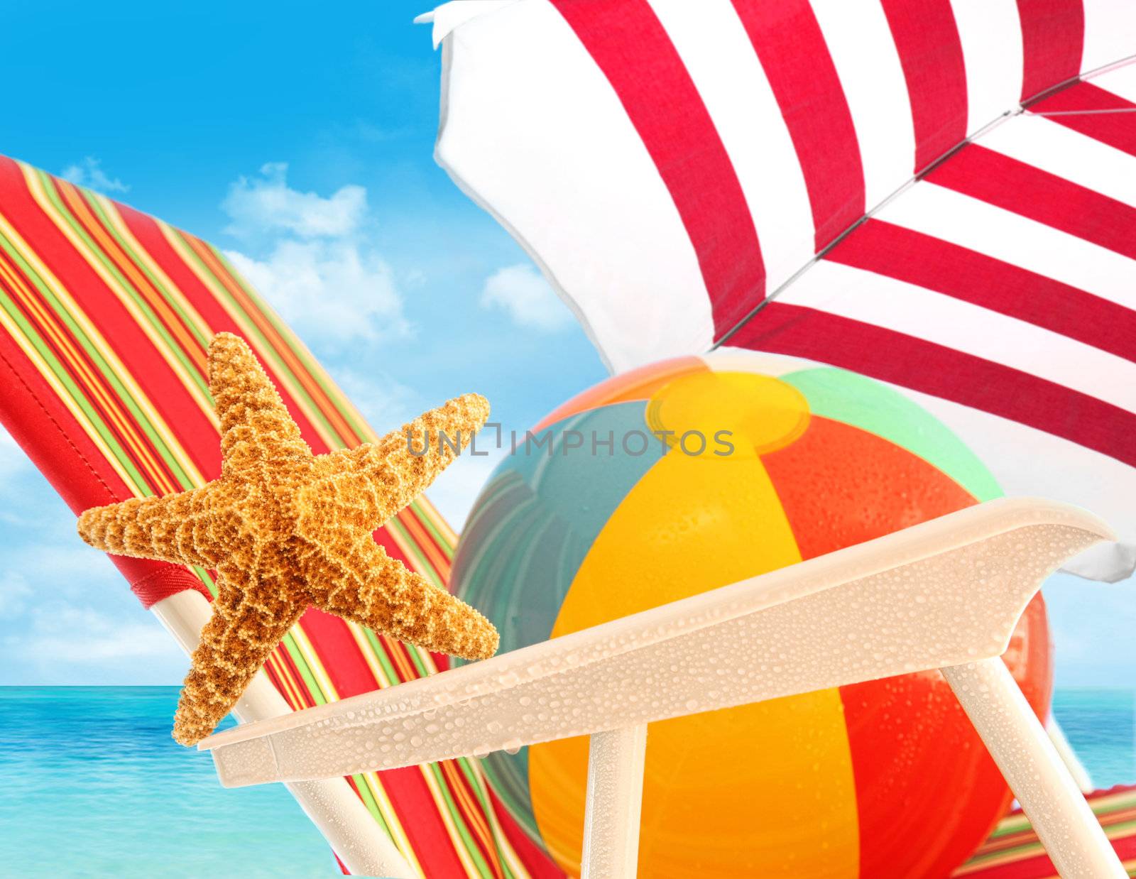 Closeup of starfish on sun chair at the beach