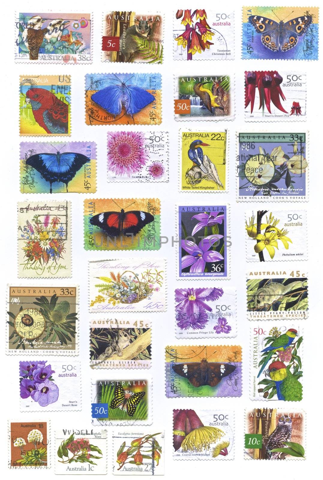 Flowers, butterfly and birds Stamps, Australia
