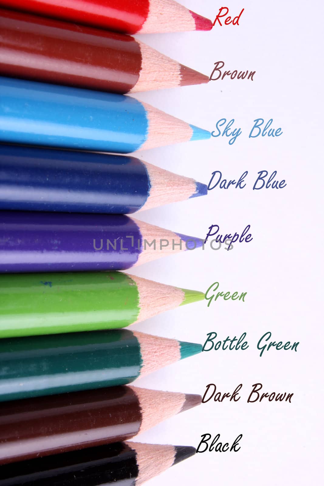 Colorful pencils with the name of the color in front of them.