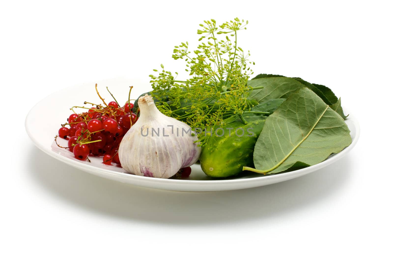 Set for canning cucumbers. On the plate are different ingredients for the marinade canning cucumbers. On a white background.