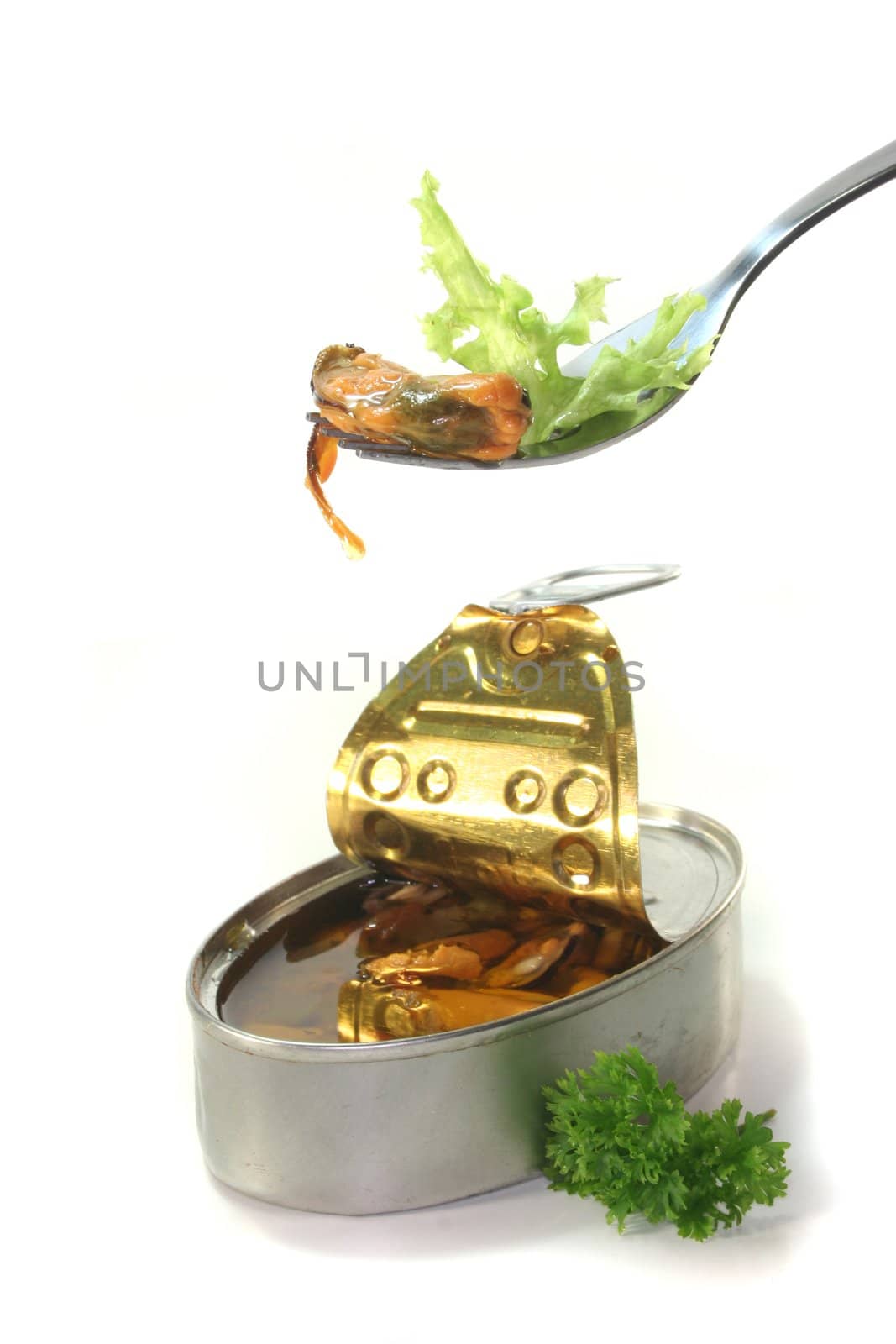 Mussel on a fork with salad on a white background