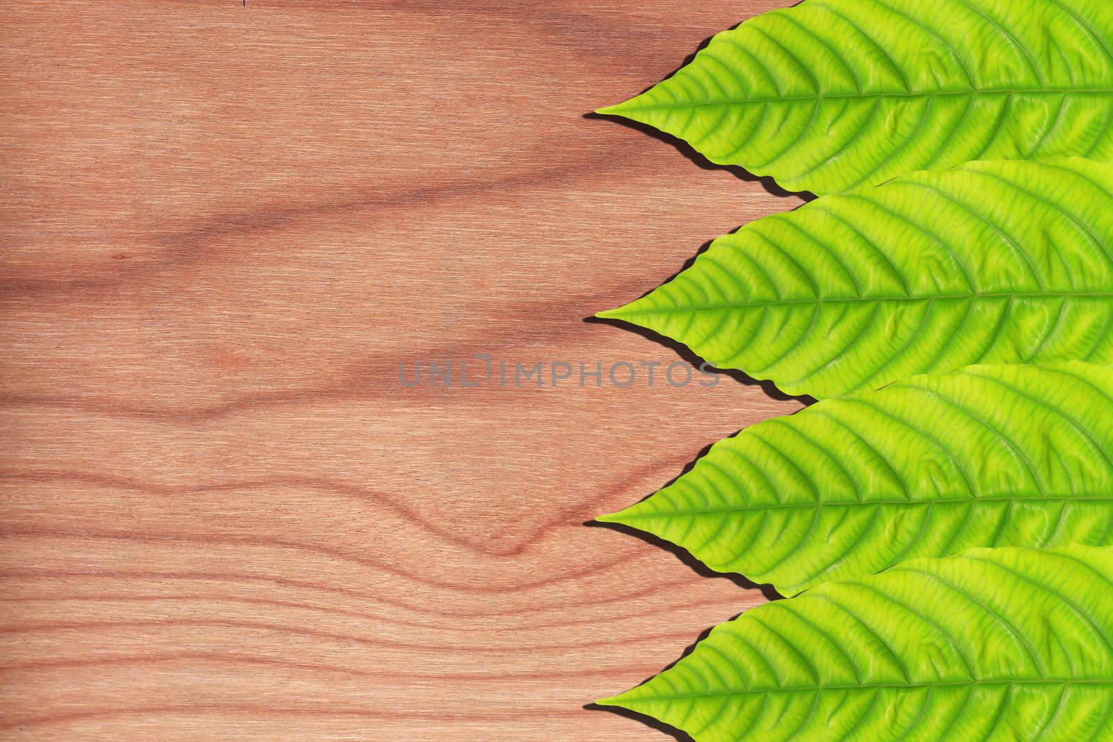 green leaves on the old wooden background  by rufous