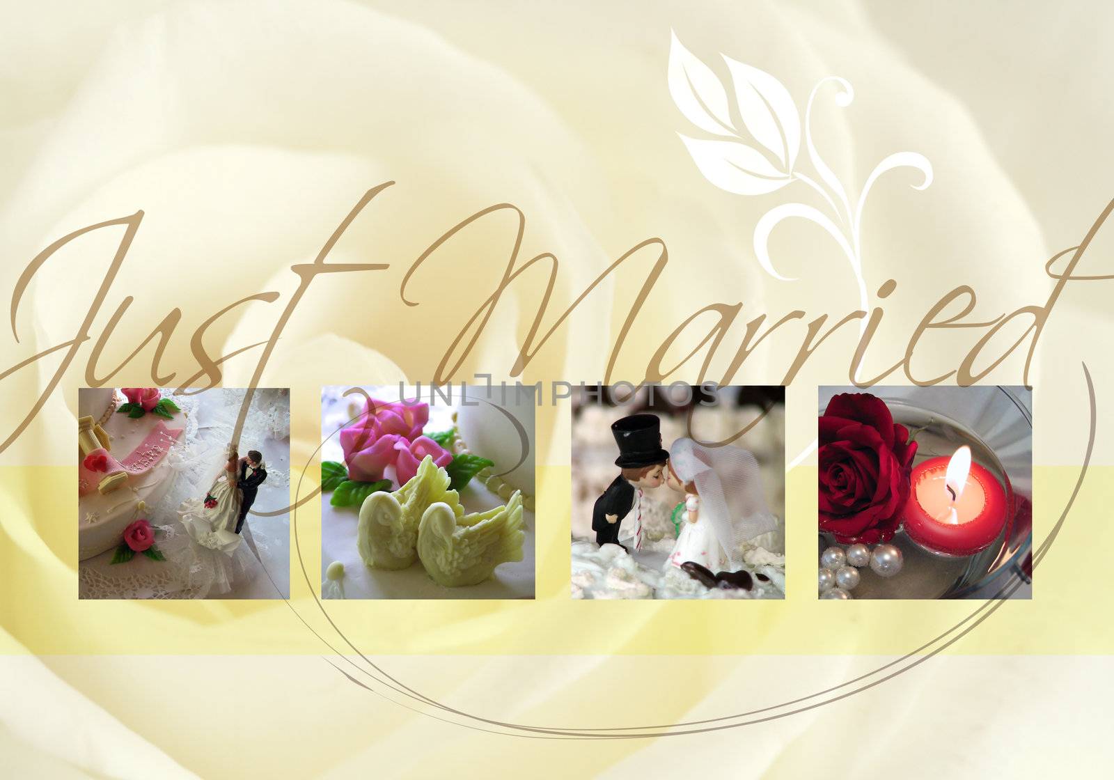 Just married card with bride, bridegroom and rose
