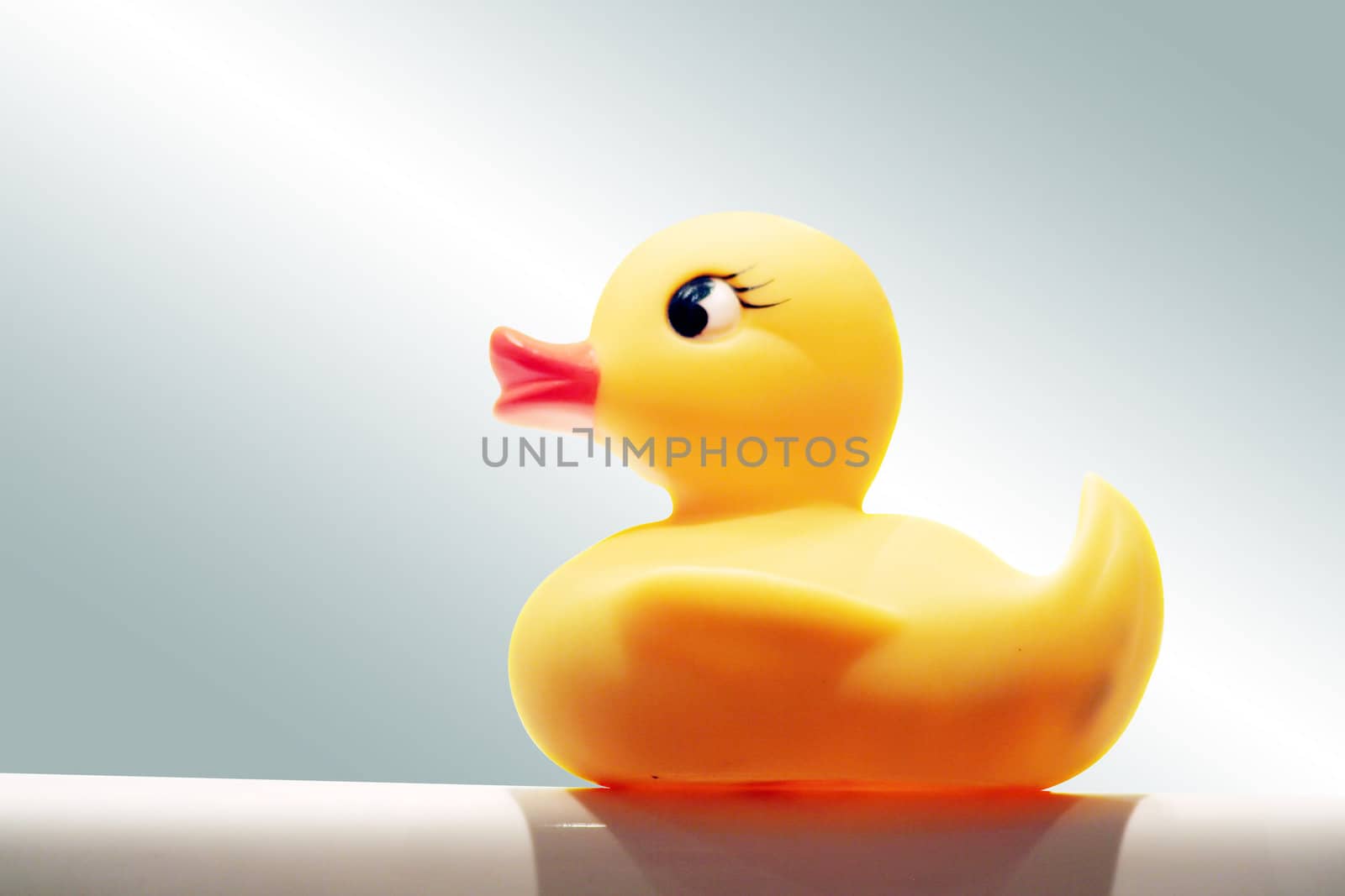 nice yellow duck in the white bathroom