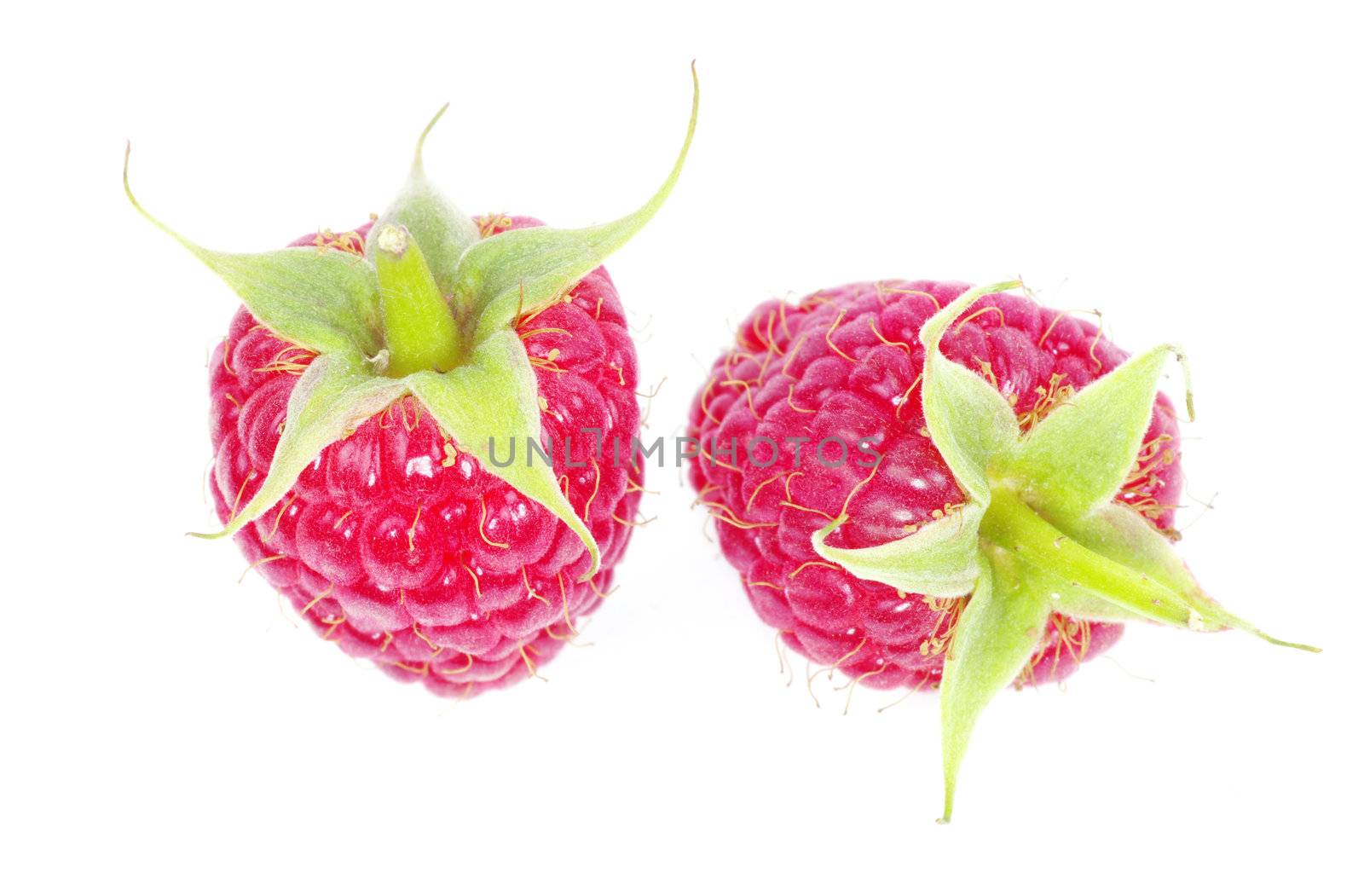 fresh raspberry closeup isolated on white background