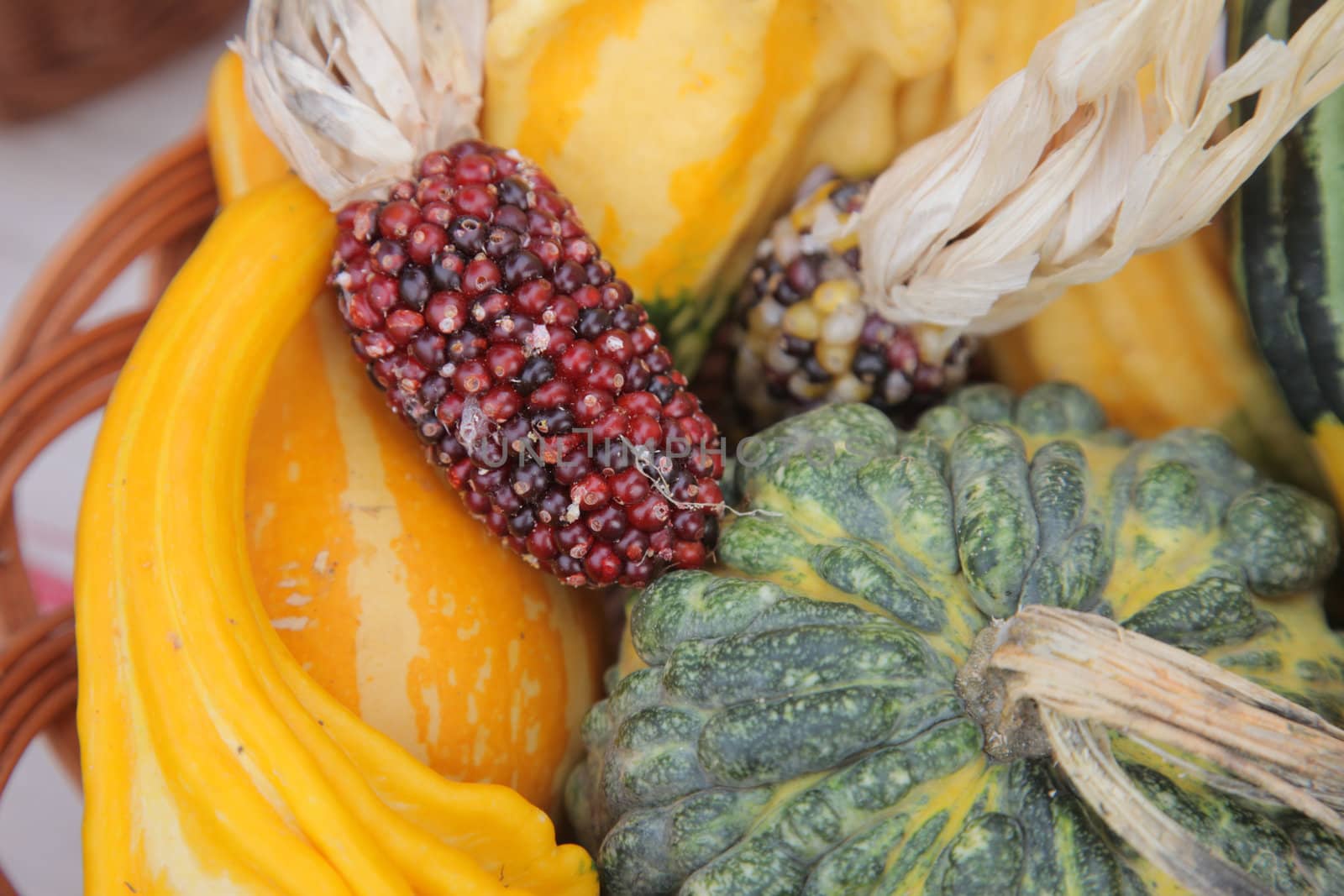 Autumn Harvest