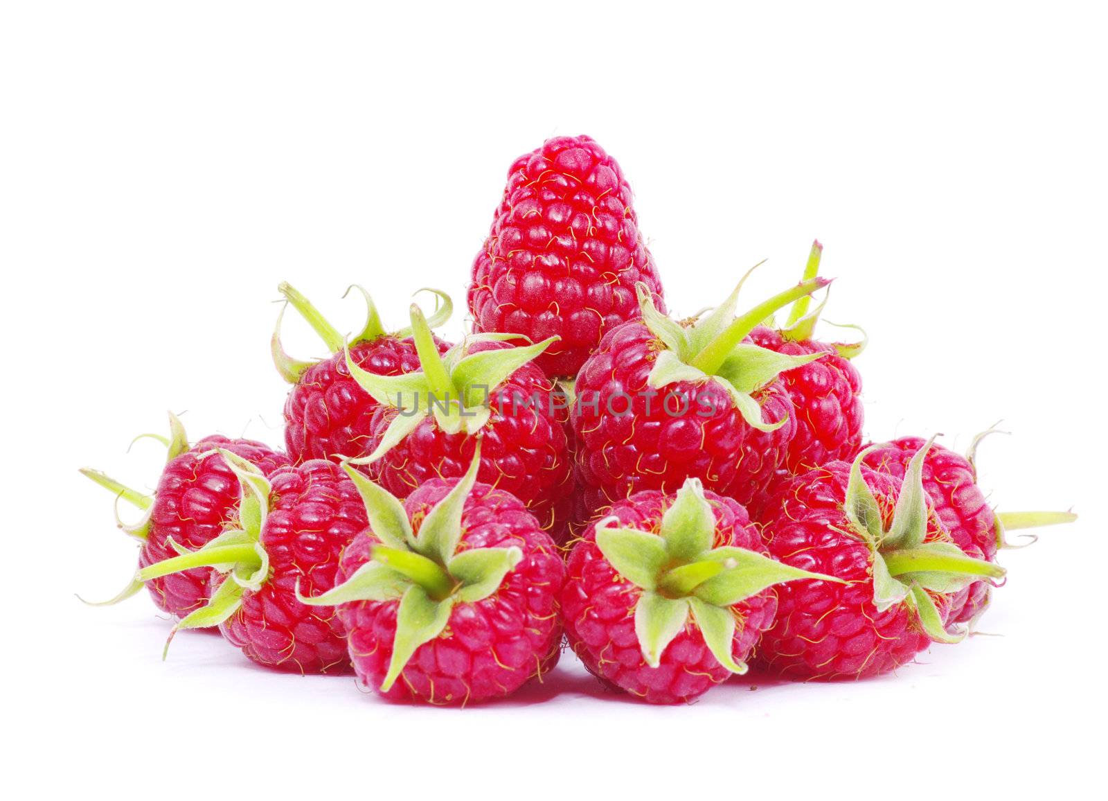 fresh raspberry closeup isolated on white background