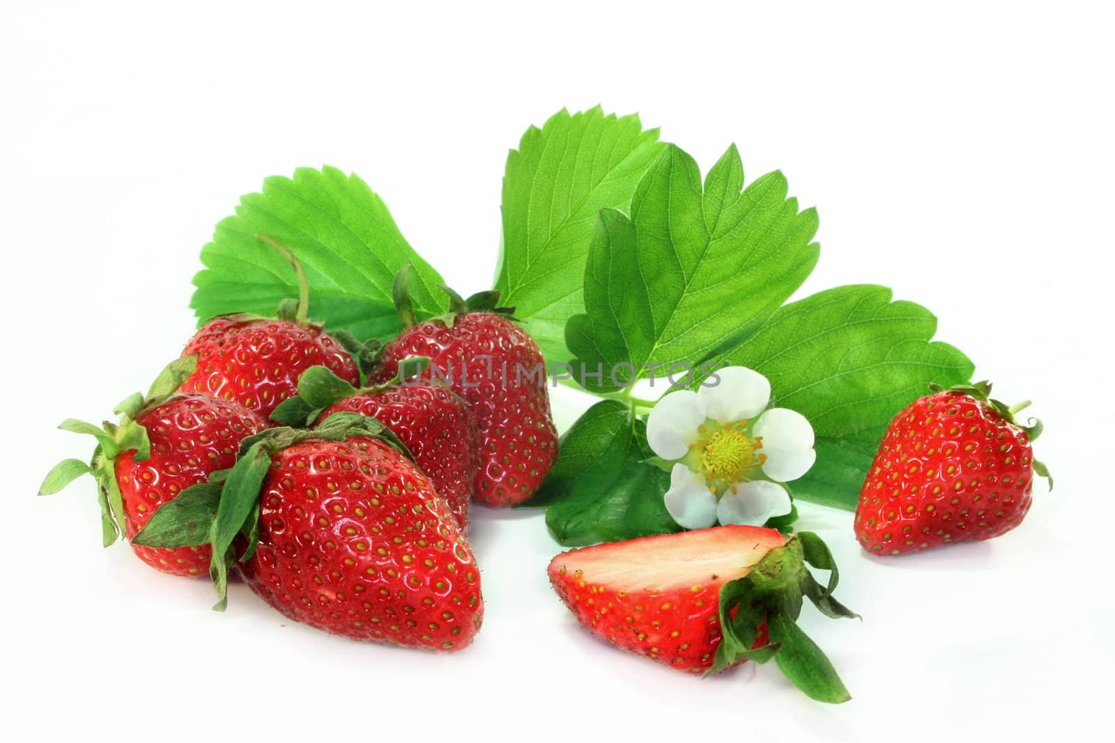 fresh strawberries with leaves and flowers