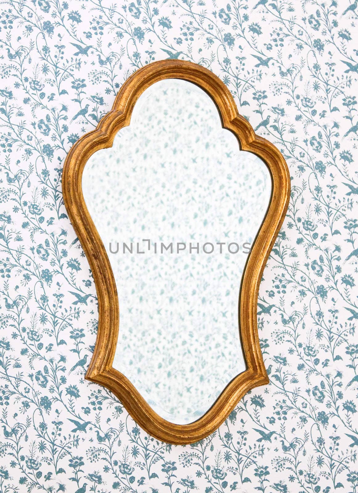 Golden Mirror Frame on Wall with Victorian Wallpaper.