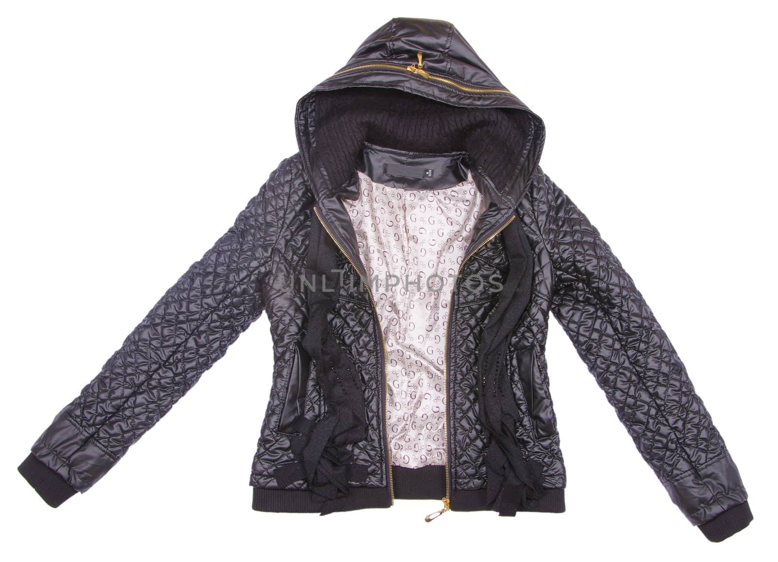 jacket isolated on a white
