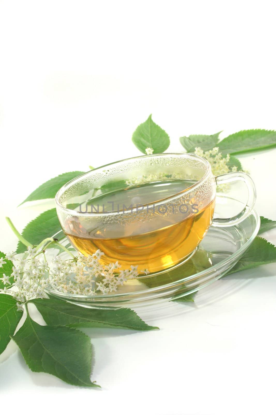 Elderflower tea by discovery