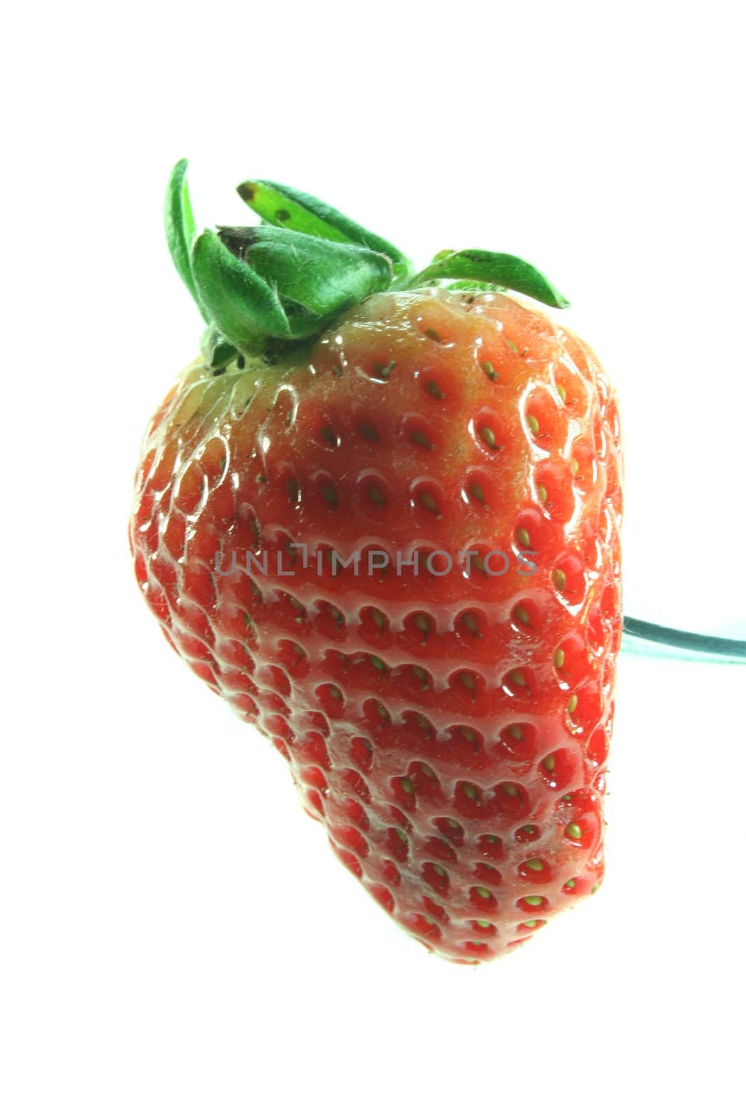 strawberry by discovery