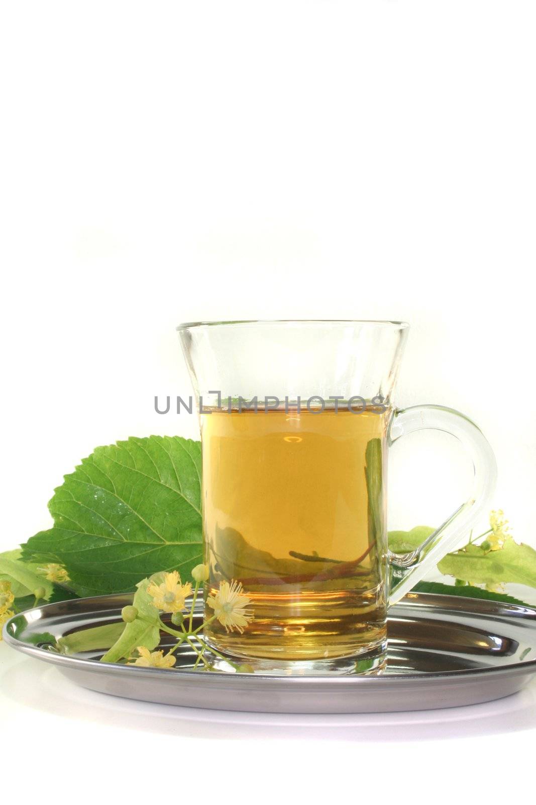 a cup of Linden flower tea with fresh flowers on a white background