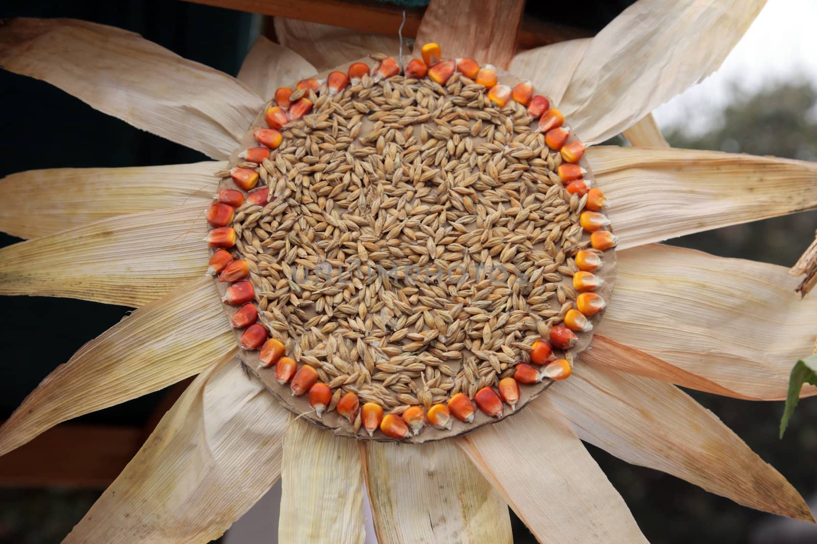 Colorful handmade flowers made of corn