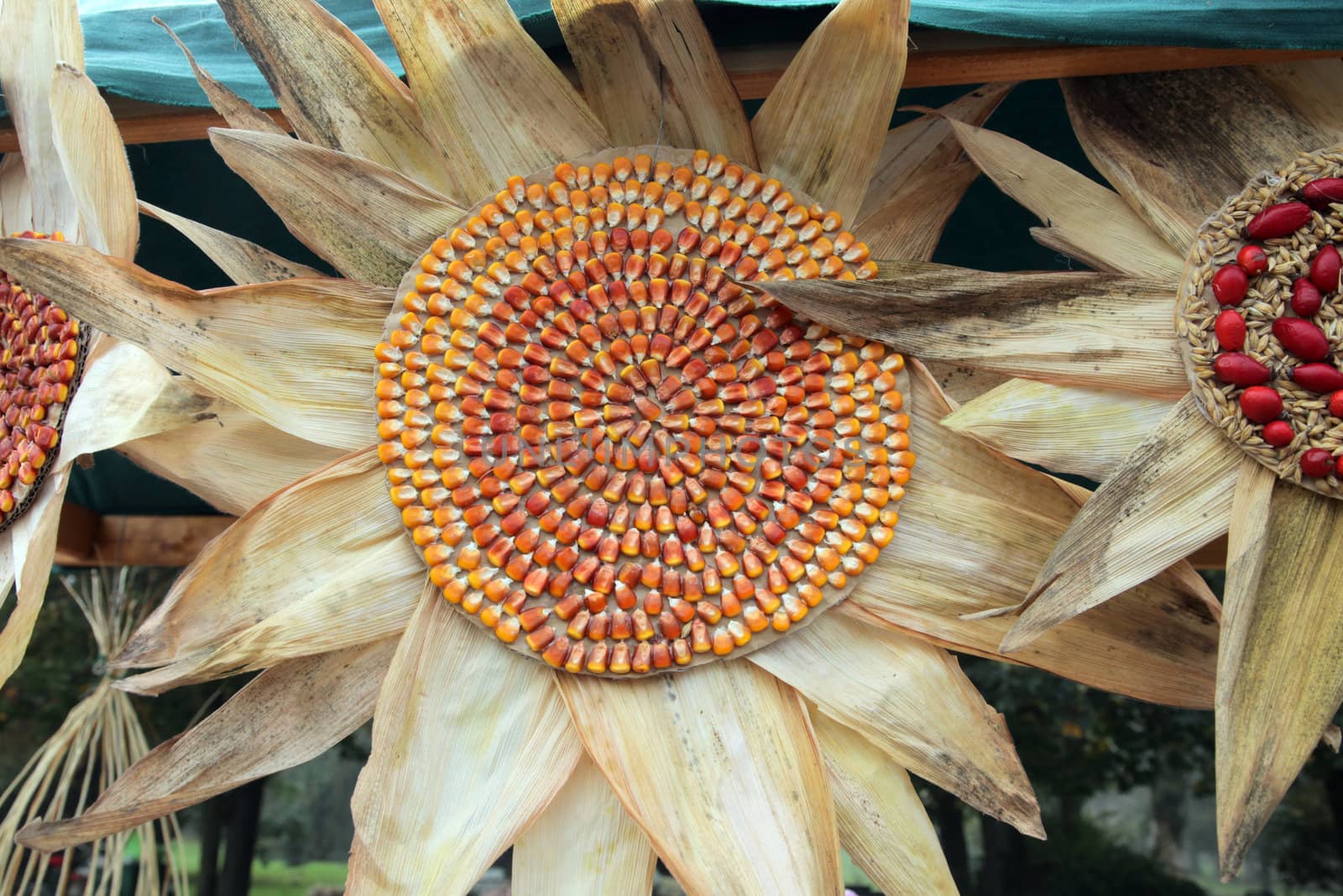 Colorful handmade flowers made of corn