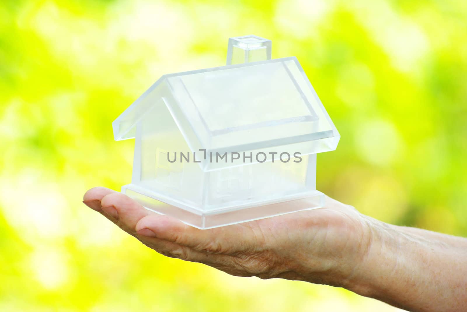 The house in human hand